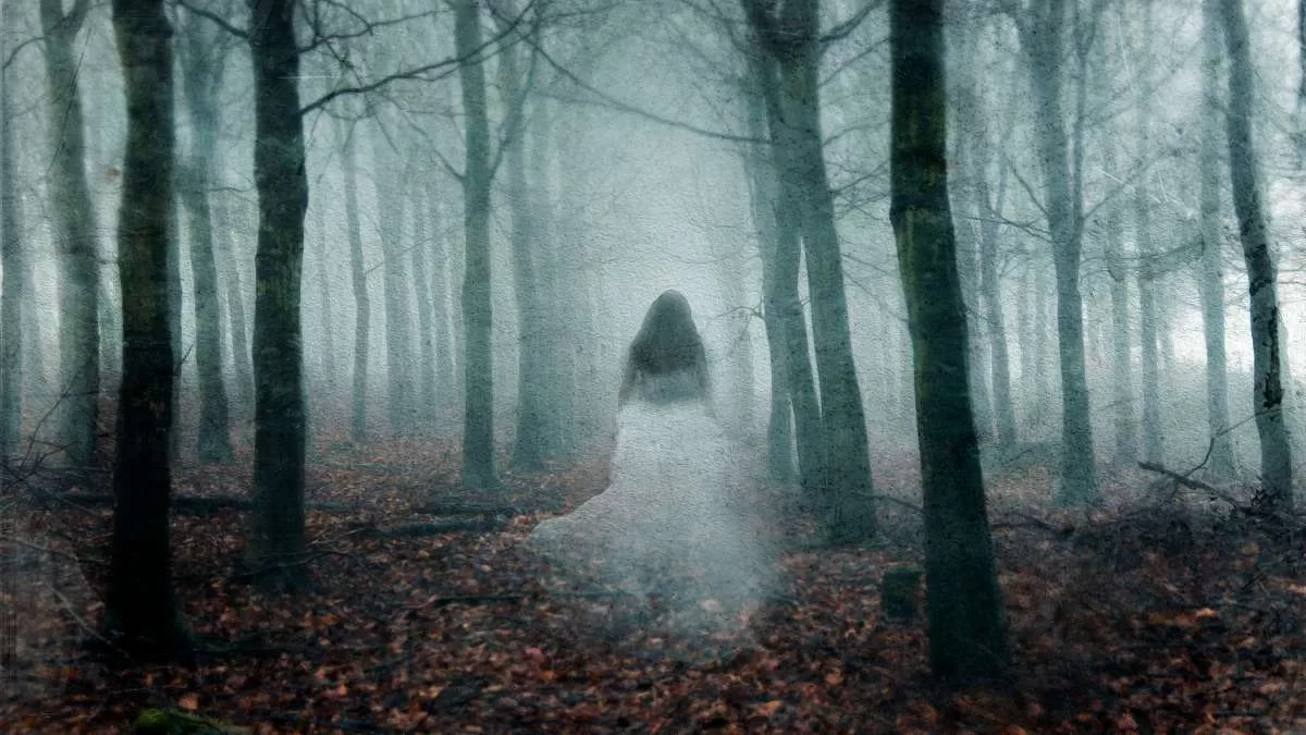 paramonal descubre lo paranormal y sus actividades