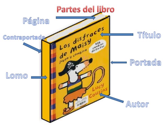 partes del libro significado y curiosidades reveladoras