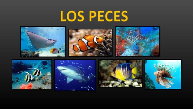 Peces: ¡Descubre 10 CARACTERÍSTICAS que te Sorprenderán! 2 peces descubre 10 caracteristicas que te sorprenderan