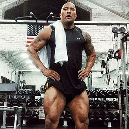 PIERNAS: QUÉ SON y POR QUÉ SON TAN IMPORTANTES 2 piernas que son y por que son tan importantes