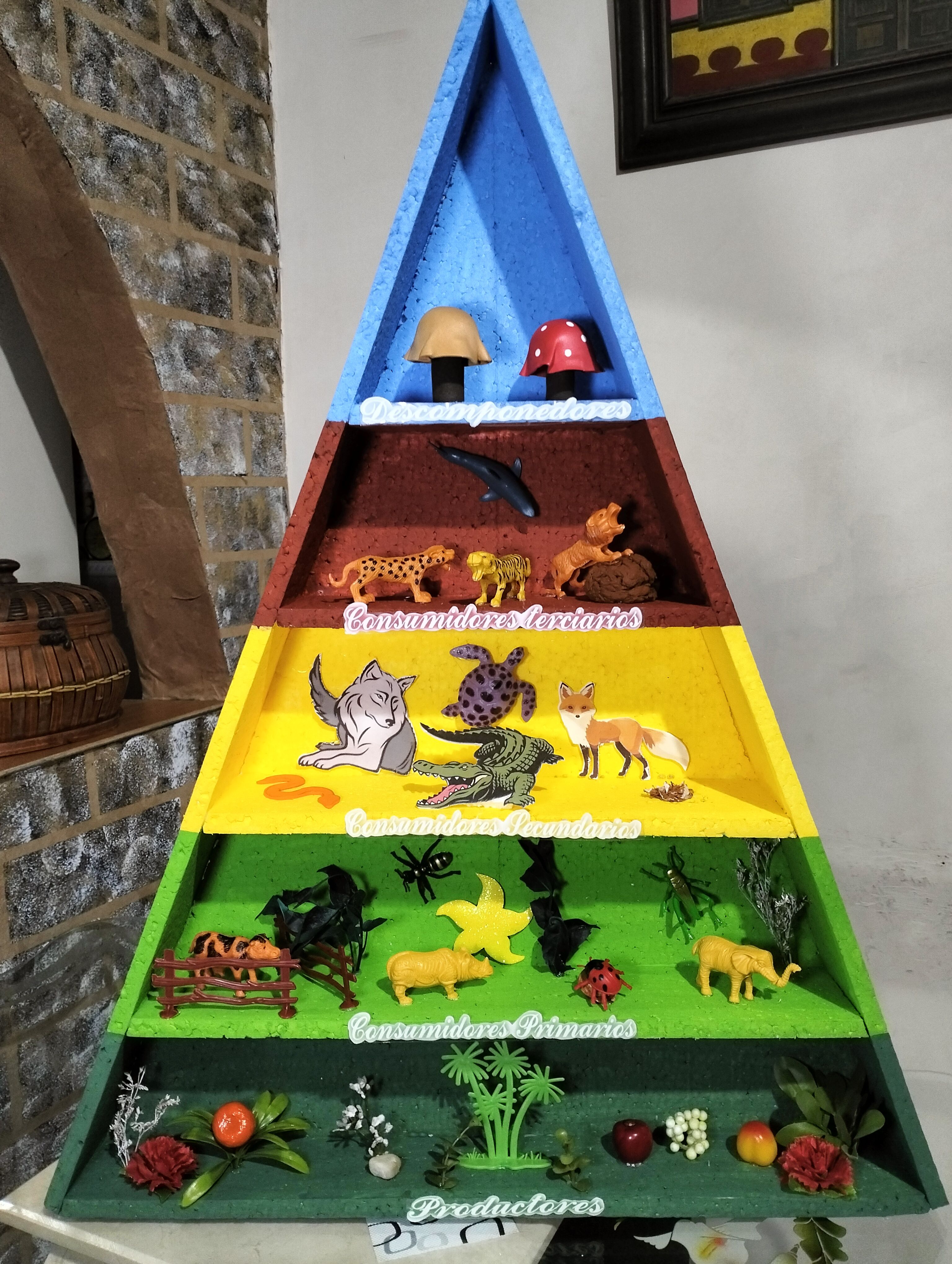 Pirámide Trófica: Función y Secretos Sorprendentes 2 piramide trofica funcion y secretos sorprendentes