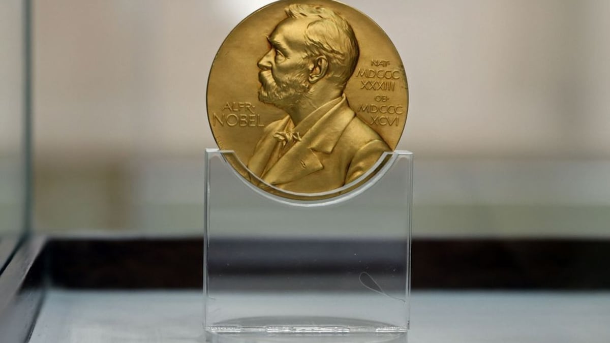 PREMIO NOBEL: Descubre sus CATEGORÍAS y SECRETOS 2 premio nobel descubre sus categorias y secretos