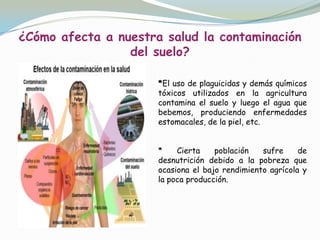 problemas ambientales del suelo como afectan tu salud