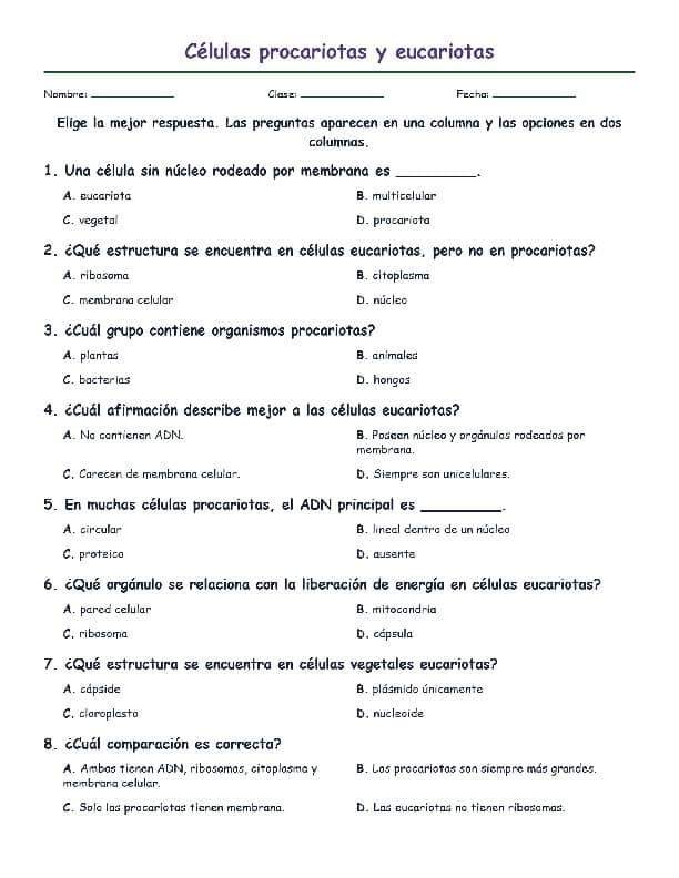 procariotas y eucariotas descubre sus 12 diferencias