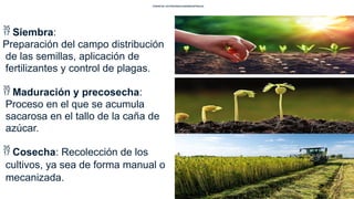 produccion industrial que es y cuales son sus etapas