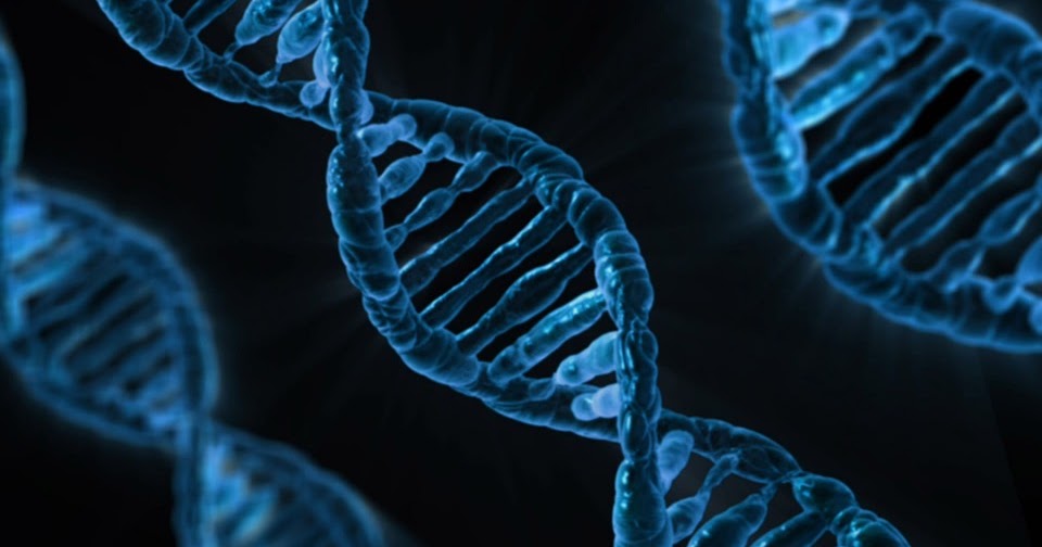 PROGENITORES: QUÉ SIGNIFICAN REALMENTE en Biología 2 progenitores que significan realmente en biologia
