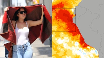 provocando descubre su impacto y significado