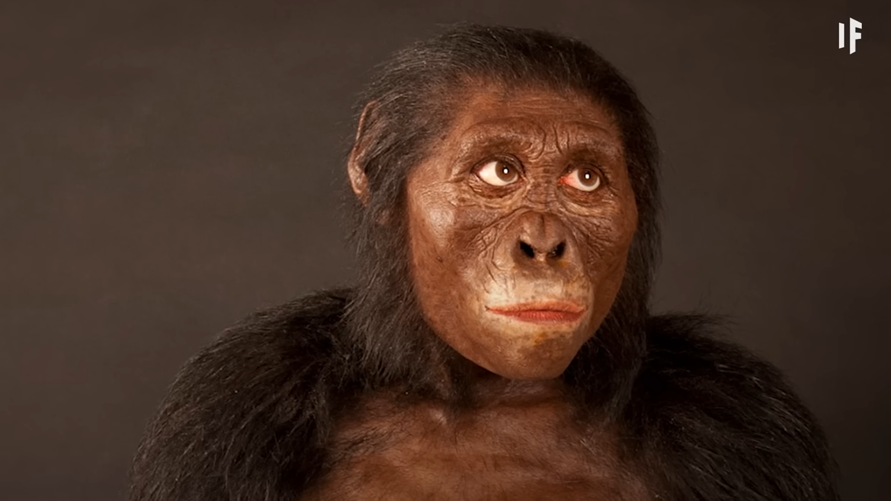 PRUEBAS DE LA EVOLUCIÓN: Qué REVELEAN sobre nosotros 2 pruebas de la evolucion que revelean sobre nosotros