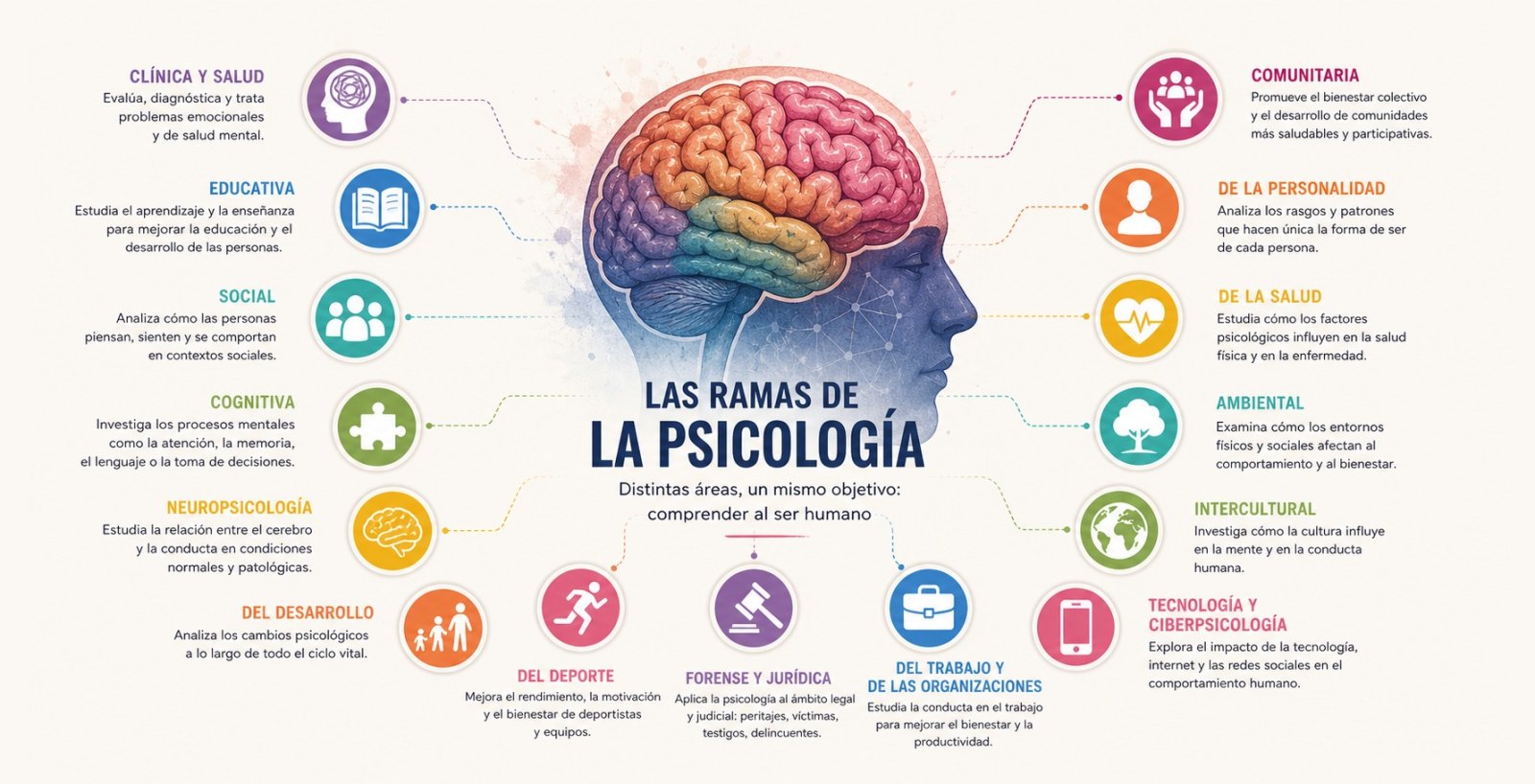 PSICOLOGÍA: Descubre las RAMAS que NO conocías 2 psicologia descubre las ramas que no conocias