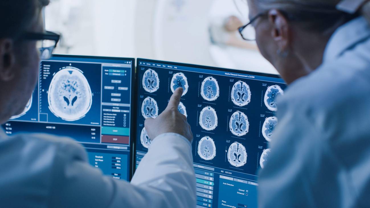 pueden las neuronas regenerarse descubre la sorpresa