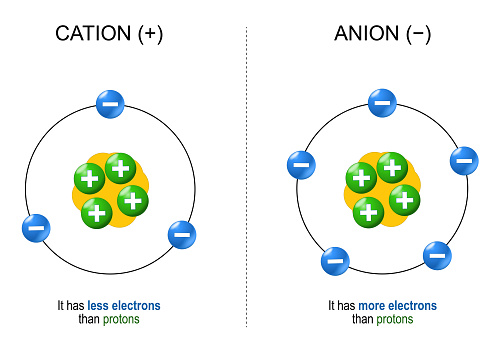 que es cation descubre su importancia en biologia