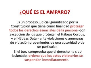 que es el amparo descubre su importante significado