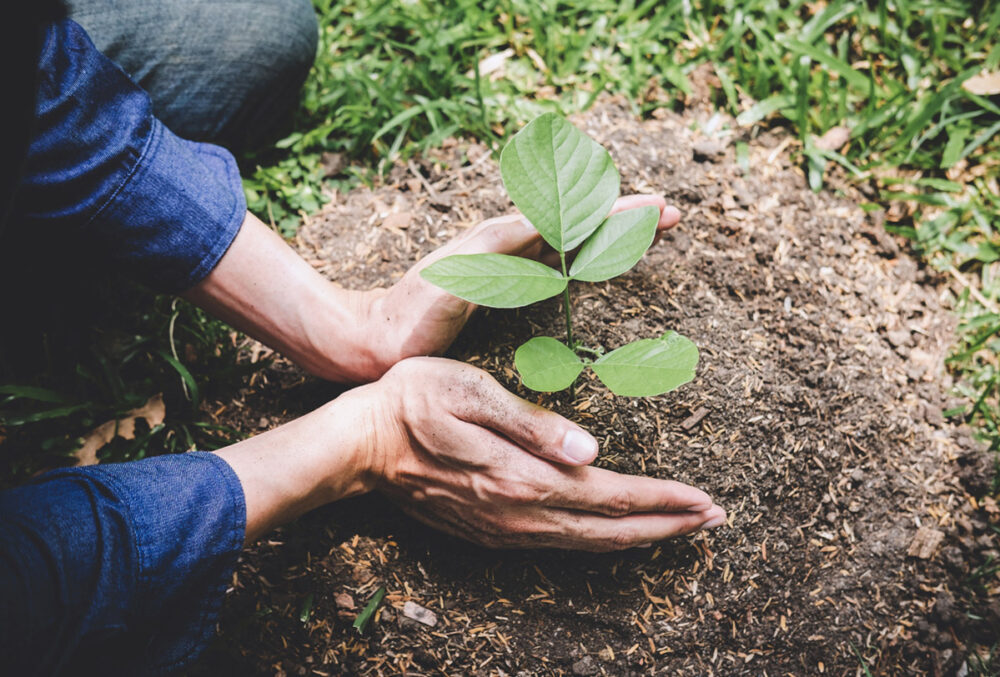 QUÉ ES el MEDIO AMBIENTE Descubre su IMPORTANCIA 2 que es el medio ambiente descubre su importancia