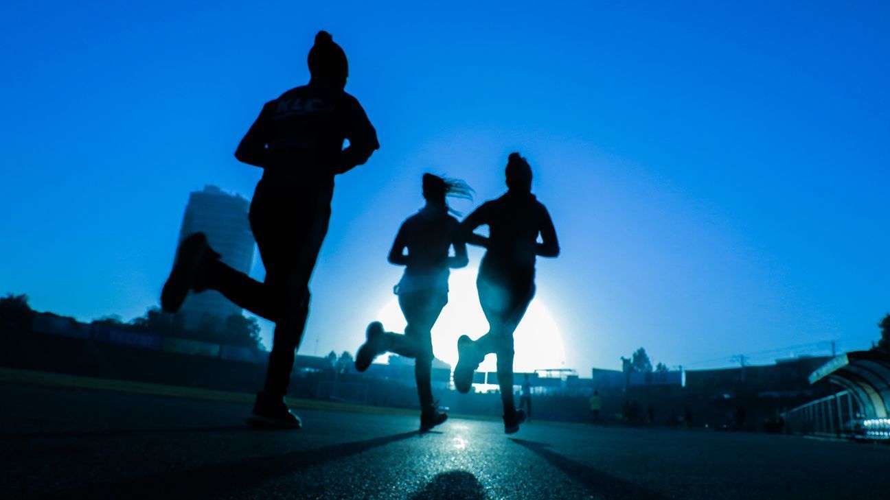 que es entrenamiento descubre su significado increible