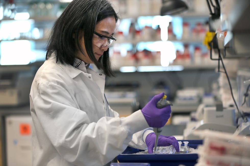 que es una vacuna descubre su poder en la medicina