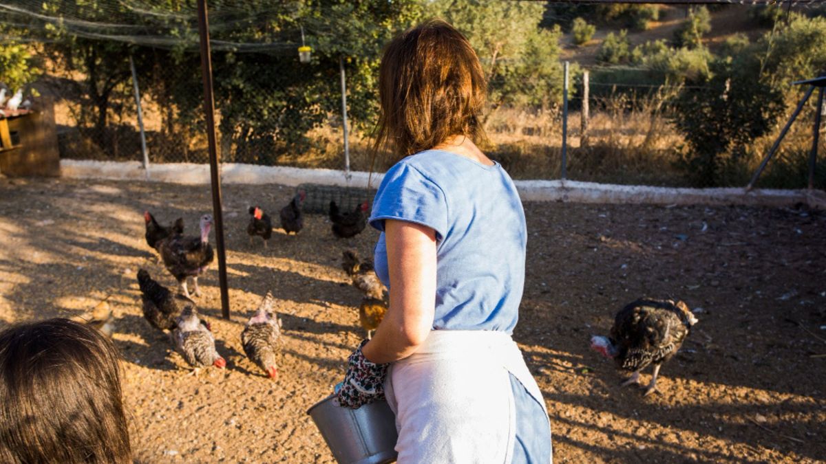 que necesitan los animales para vivir descubrelo