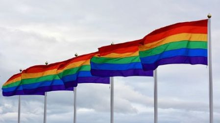 que significa queers origen y bandera revelados