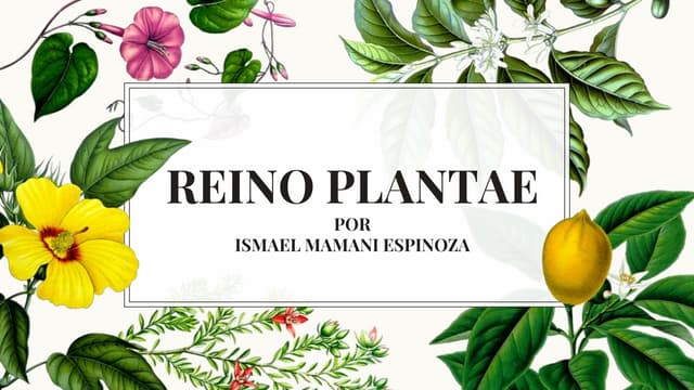 REINO VEGETAL: ¡Descubre 10 Ejemplos Sorprendentes! 2 reino vegetal descubre 10 ejemplos sorprendentes