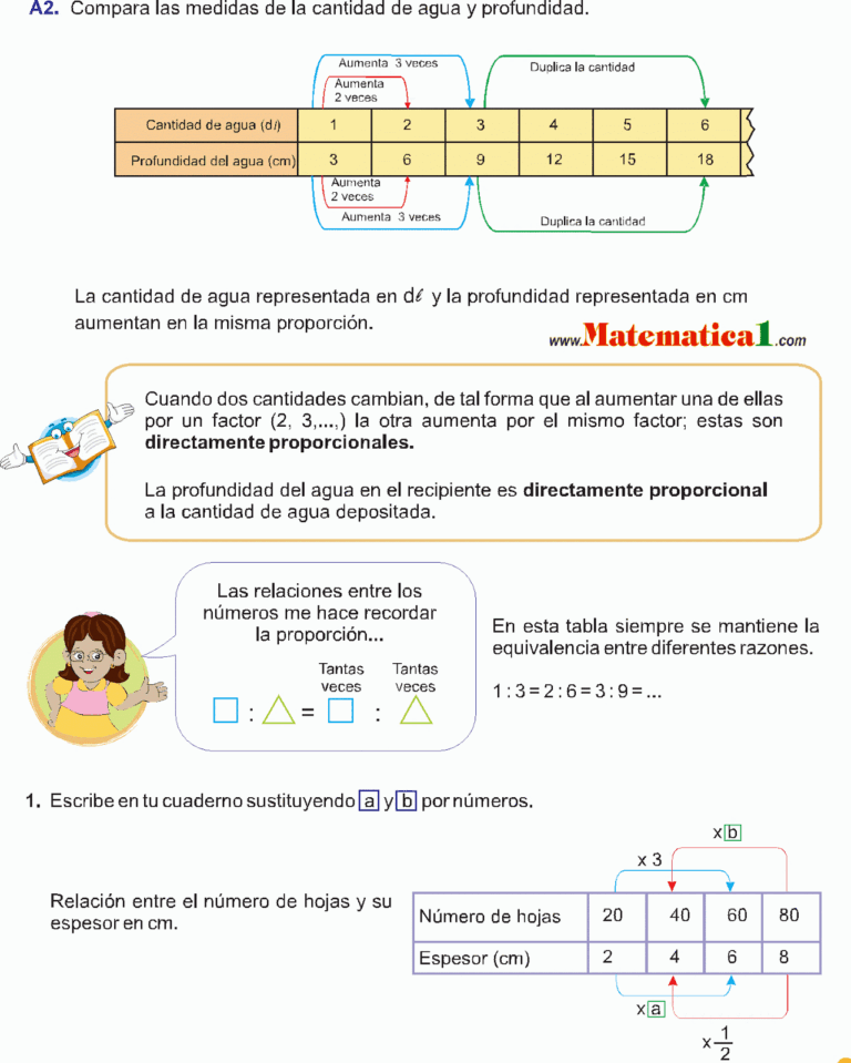 relaciones lineales clave para entender la proporcionalidad