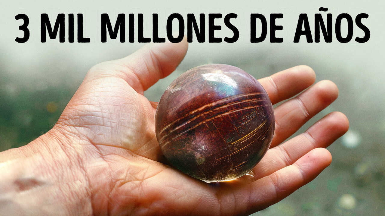 Remito: DESCUBRE su SIGNIFICADO y HISTORIA ¡Increíble! 2 remito descubre su significado y historia increible