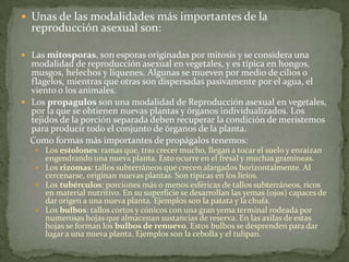 Reproducción Sexual: Tipos Sorprendentes que No Conocías 2 reproduccion sexual tipos sorprendentes que no conocias