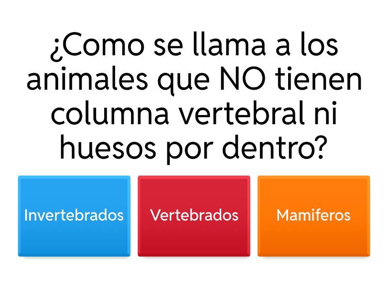 Reptiles Vertebrados: Secretos y Clasificación Revelados 2 reptiles vertebrados secretos y clasificacion revelados