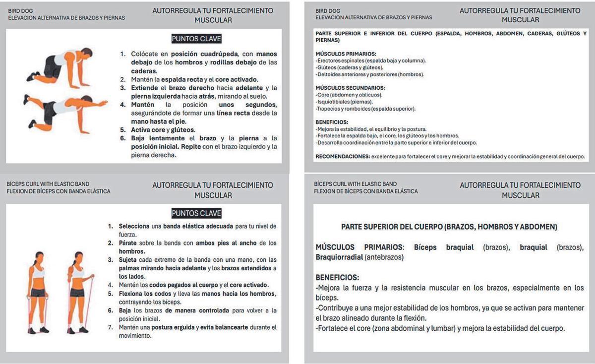 resistencia en educacion fisica cuales son los tipos