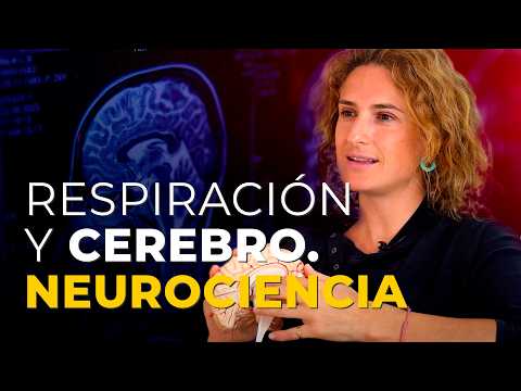 Respiración: Su Poder Transformador y Significado Revelador 2 respiracion su poder transformador y significado revelador