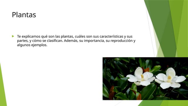resumen descubre sus tipos y caracteristicas esenciales