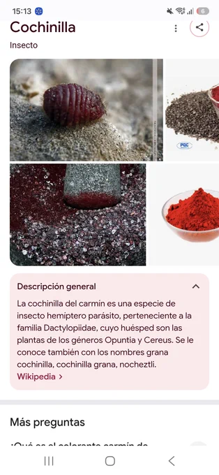 retraso mental significado y consecuencias reveladoras