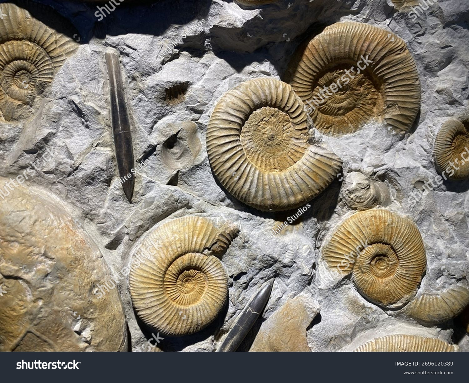 Roca Sedimentaria: Clasificación y Datos Asombrosos 2 roca sedimentaria clasificacion y datos asombrosos