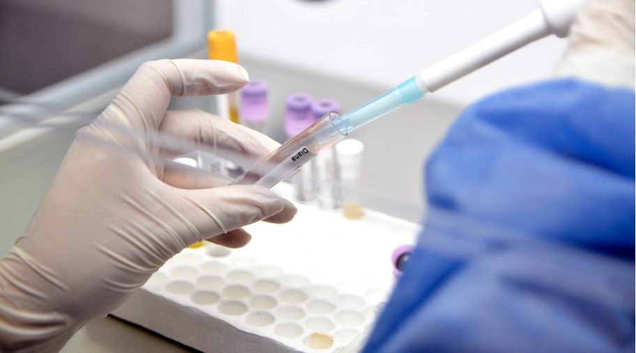 sangre importancia vital y curiosidades asombrosas