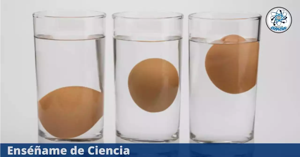 significado de huevo que es realmente descubrelo aqui