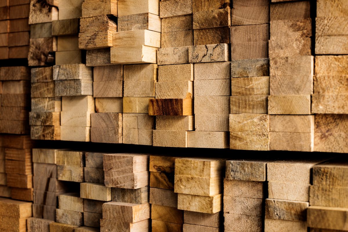 significado de madera descubre su clasificacion