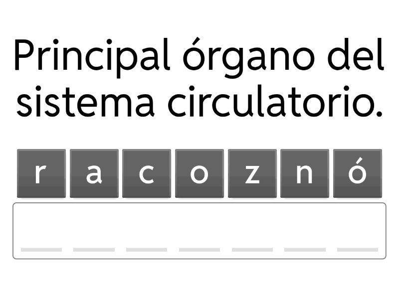 SISTEMA CIRCULATORIO: ¡Descubre su IMPORTANCIA PRIMARIA! 2 sistema circulatorio descubre su importancia primaria