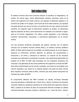 sistema nervioso central funciones y partes esenciales