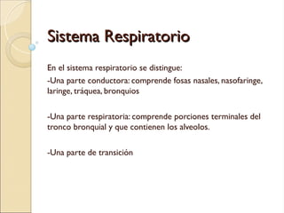 SISTEMA RESPIRATORIO: Descubre su INCREÍBLE Función 4 sistema respiratorio descubre su increible funcion