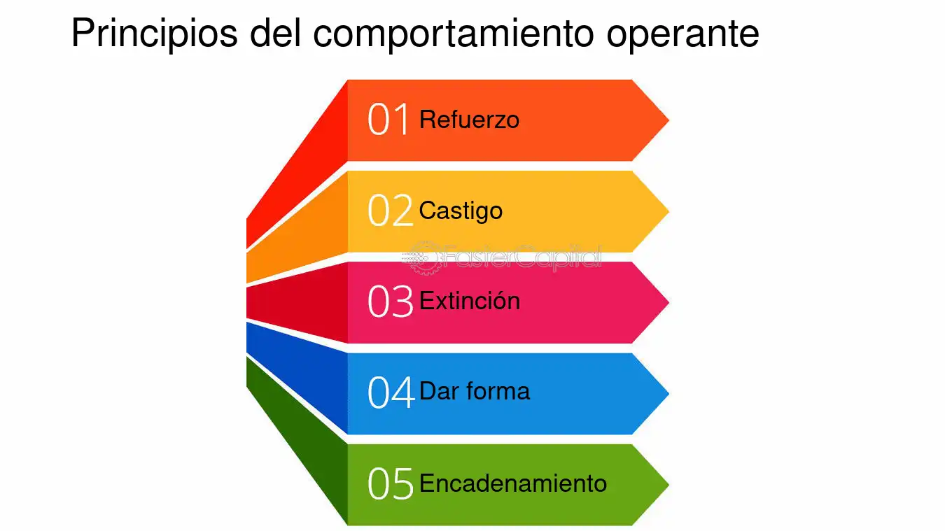 skinner descubre el poder del condicionamiento operante
