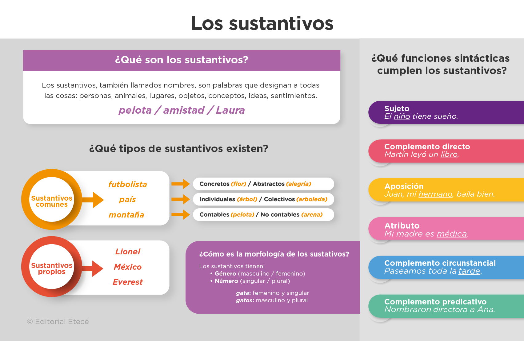 SUSTANTIVO DIMINUTIVO: 50 Ejemplos que TE Sorprenderán 2 sustantivo diminutivo 50 ejemplos que te sorprenderan