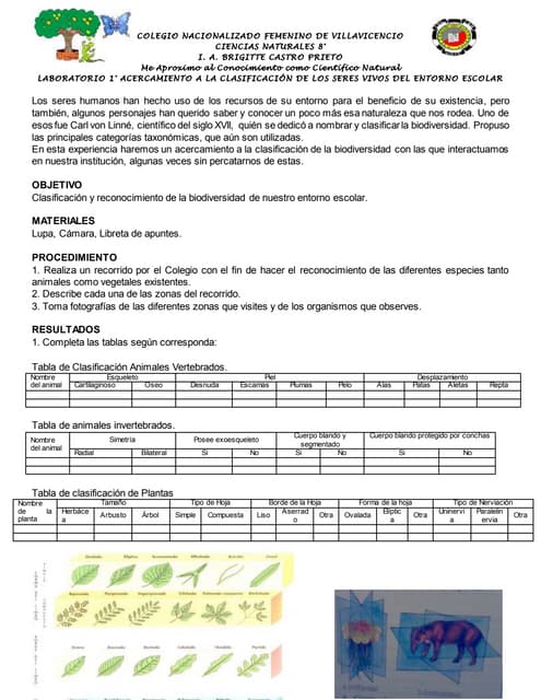 taquimetria descubre su definicion y clasificacion