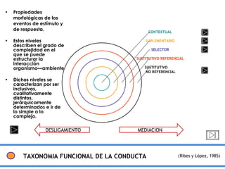 Taxonomía: Conoce su Complejidad y Objetivos Esenciales 2 taxonomia conoce su complejidad y objetivos esenciales
