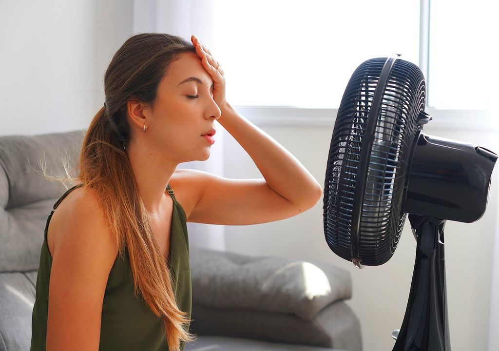 Temperatura y TIEMPO: Qué pasa a 65°C con las BACTERIAS 2 temperatura y tiempo que pasa a 65c con las bacterias