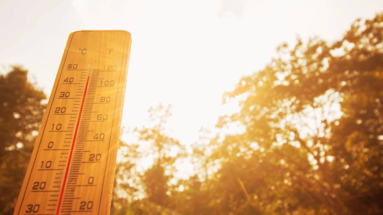 termica 15 ejemplos sorprendentes que no conoces