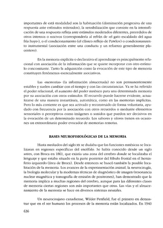 tipos de memorizacion como almacena el cerebro