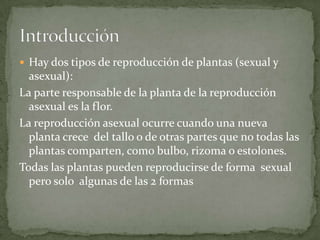 tipos sorprendentes de reproduccion en la naturaleza