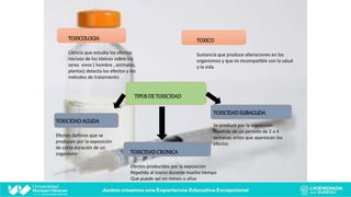 toxicidad descubre su definicion y efectos sorprendentes