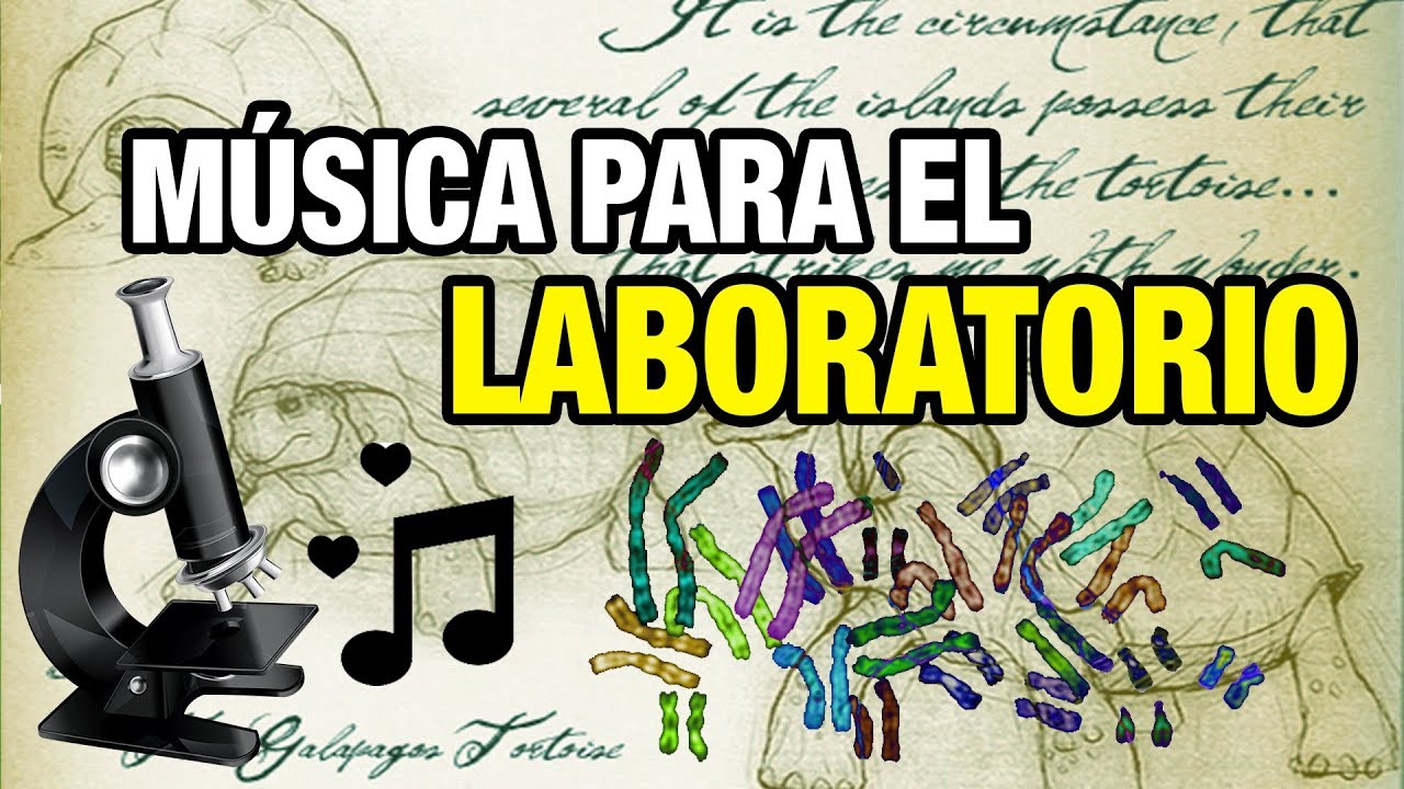 Transformación en Música y Biología: Significado Revelado 2 transformacion en musica y biologia significado revelado