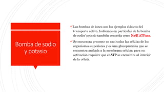 transporte activo descubre 20 ejemplos sorprendentes