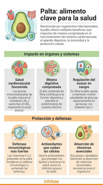 valproato cuales son sus peligros y beneficios