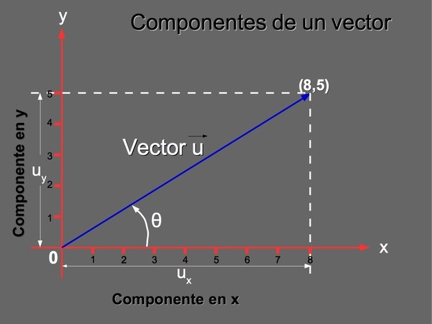vector descubre sus tipos y caracteristicas increibles
